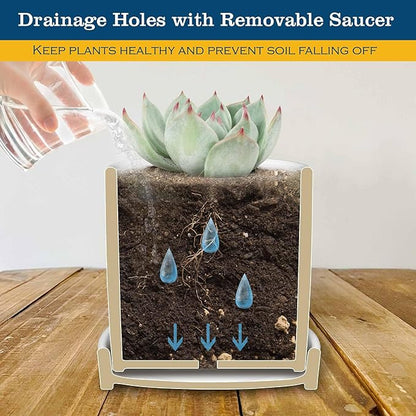 Cute Succulent Pots for Office - If You Ever Feel Useless Just Remember You Breathe Out Carbon Dioxide for Plants, Cute Plant Pots Desk Planter, Funny Pot for Plant