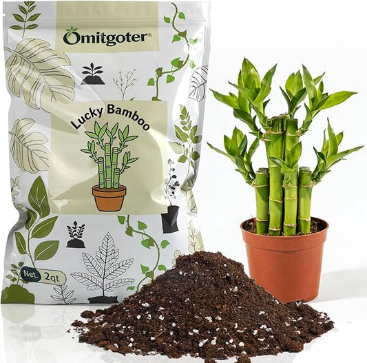 Pure Natural Potting Soil for Lucky Bamboo Plants 1qt - Superior Drainage & Breathability, Ideal Indoor Plant Soil
