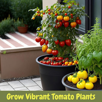 Soil Sunrise All Natural Tomato Starter/Potting Mix (12 Quarts) Perfect Backfill for Outdoor Tomato Plant Holes, Hand Blended with Natural Ingredients Including Worm Castings