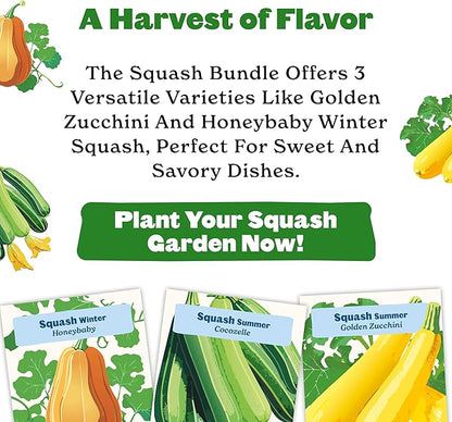 Epic Gardening Squash Seed Bundle - 3 Non-GMO Varieties, Includes Golden Zucchini, Cocozelle & Honeybaby, Perfect for Roasting, Soups, Baking & Versatile Cooking, Great for Backyard Gardens