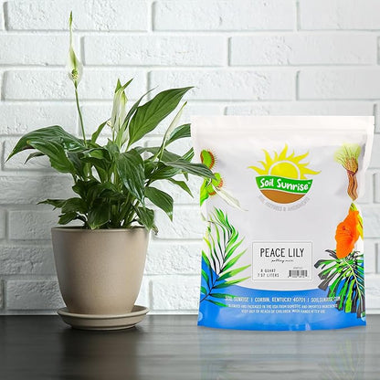 Soil Sunrise Peace Lily Potting Soil Mix (8 Quarts) for Planting, Growing, or Repotting Peace Lily Plants
