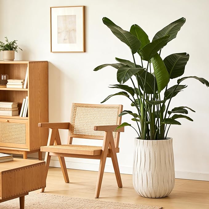 Modern Planters for Indoor Plants with Diamond Texture, Large Indoor Plant Pot, Cylinder Flower Pots for Home Garden Patio Office(Wide Bottom)
