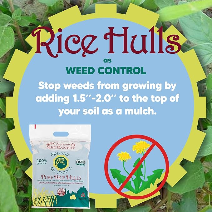 Organic Mechanics Pure Rice Hulls, 8 qt (Pack of 2) - Sustainable Alternative to Perlite - Enhances Drainage, Porosity and Air Space - Eco-Friendly