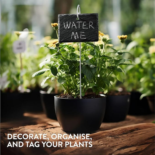 Navaris Slate Plant Labels (15 Pieces) - Garden Marker Label Signs with Stakes - Markers for Plants, Vegetables, Herb Gardens - with Chalk Pencils - Rectangular (Pack of 2)