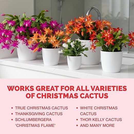 TPS NUTRIENTS Christmas Cactus Fertilizer for All Christmas Cacti and Schlumbergera Cacti, Liquid Plant Food 8 oz (250mL)