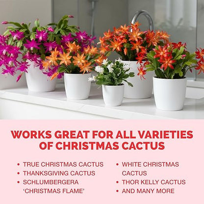 TPS NUTRIENTS Christmas Cactus Fertilizer for All Christmas Cacti and Schlumbergera Cacti, Liquid Plant Food 8 oz (250mL)