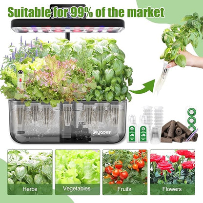 Salad Seed Pods, 12 Pods Grow Anything Kit for All Hydroponics Growing Systems with 300mg Varity Seeds of Buttercrunch, Black Seeded Simpson, Oakleaf, Prizehead, Red Salad Bowl and so on