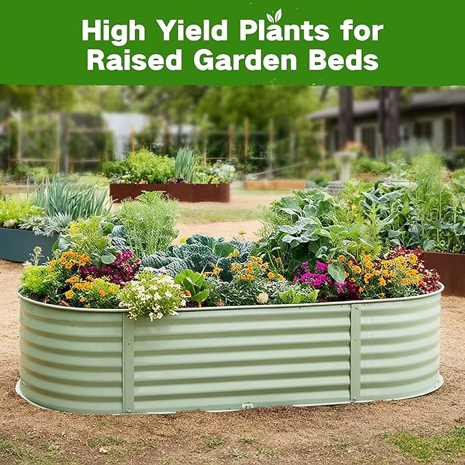Lush&Dew Raised Garden Bed Heirloom Seed Bank, 32 Varieties 30,000+ Non-GMO Seeds for Planting Vegetables Herbs Fruits Year-Round, Gardening Gifts for Women Men, Survival Seed Kit for Food Suppies