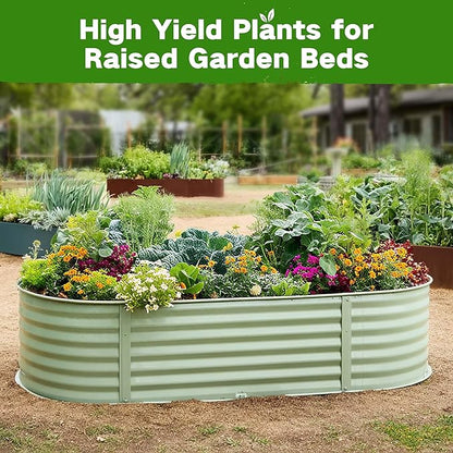 Lush&Dew Raised Garden Bed Heirloom Seed Bank, 32 Varieties 30,000+ Non-GMO Seeds for Planting Vegetables Herbs Fruits Year-Round, Gardening Gifts for Women Men, Survival Seed Kit for Food Suppies