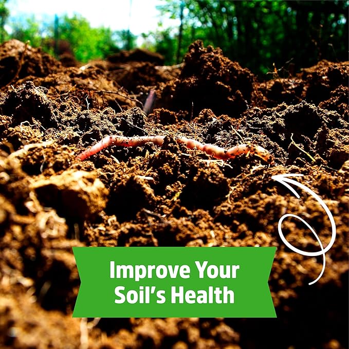 Back to The Roots 100% Organic Soybean Cover Crop Seeds, Covers ~1000 sq. ft.