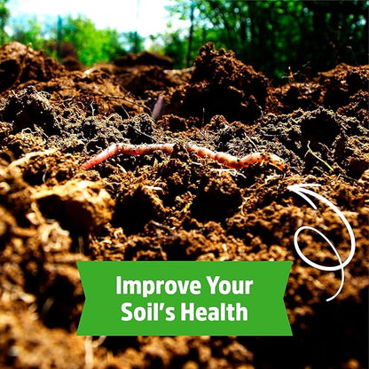 Back to The Roots 100% Organic Soybean Cover Crop Seeds, Covers ~1000 sq. ft.