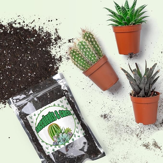 Cactus & Succulent Soil Mix 4qt, Chunky Well-Draining Soil for Indoor Plants - Spike & Bloom