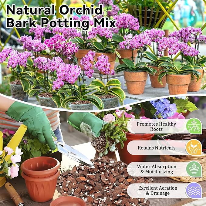 Riare 6QT Orchid Potting Mix, Natural Orchid Bark Potting Mix Soil Medium with Pine Bark and Perlite, Premium Orchid Repotting Kit for Phalaenopsis Dendrobiums, Enhanced Drainage & Root Expansion