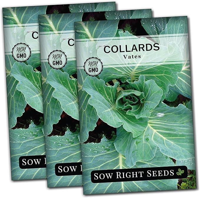 Sow Right Seeds - Vates Collard Greens Seeds for Planting - Non-GMO Heirloom Packet with Instructions to Plant a Home Vegetable Garden - Nutritious and Classic Cooked Southern Greens (3)
