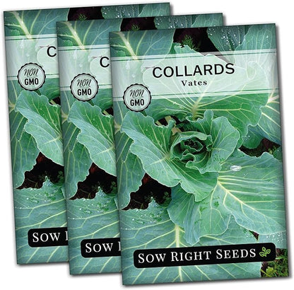 Sow Right Seeds - Vates Collard Greens Seeds for Planting - Non-GMO Heirloom Packet with Instructions to Plant a Home Vegetable Garden - Nutritious and Classic Cooked Southern Greens (3)