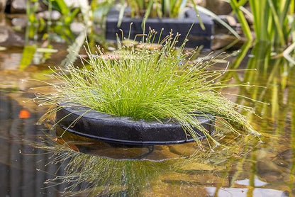 PondH2o Floating Aquatic Water Garden Pond Planter Basket, 10 Inch (26cm) Round Fabric Floatable Flower Plant Pot Aquaponics, Hydroponics, Flower Islands for Ponds and Water Features