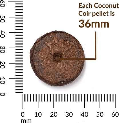 Ferry-Morse 36mm Coconut Coir Pellets Refill - 1500 Pack