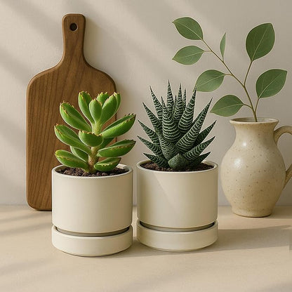 Phoenix Vine 4 Inch Planter Pot with Drainage Hole & Saucer, Deep Water Catch Tray, Straight Cylindrical Round Pot for Plants, Oatmeal, Pack of 2, 23-E-R-2