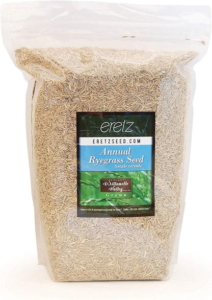 Annual RyeGrass Seed by Eretz - Willamette Valley, Oregon Grown. No fillers, No Weed or Other Crop Seeds (3lb)