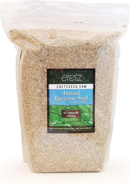 Annual RyeGrass Seed by Eretz - Willamette Valley, Oregon Grown. No fillers, No Weed or Other Crop Seeds (3lb)