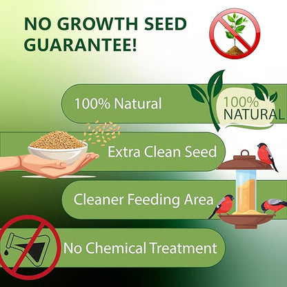 Happy Wings Nyjer/Thistle Seeds Wild Bird Food - (Pack of 2, 13 Ounce x 2) | Prefilled Sock | No Grow Seed | Bird Seeds for Wild Birds