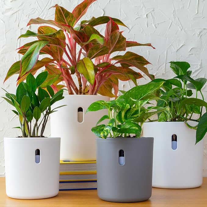 Self Watering Pot for Leca and Pon, Semi Hydroponic Planter for Indoor Plants, Clear Inner Pot & Water Level Indicator (Grey (4-Pack), 4 inch)