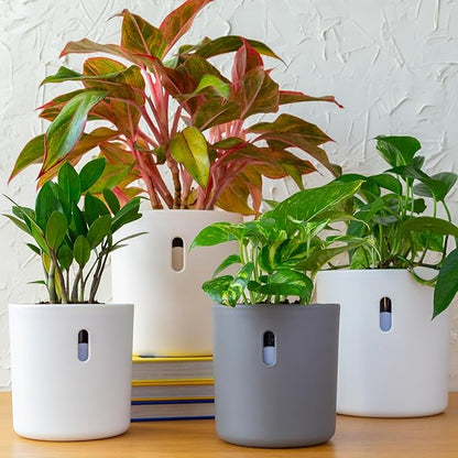Self Watering Pot for Leca and Pon, Semi Hydroponic Planter for Indoor Plants, Clear Inner Pot & Water Level Indicator (Cream (4-Pack), 4 inch)