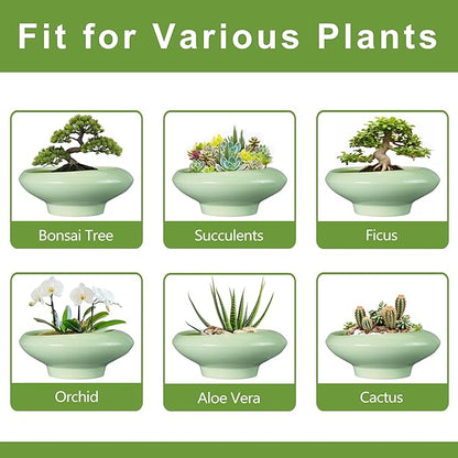 Ceramic Bonsai Pots - Large Succulent Planter 13 Inch Plant Pot Indoor Succulent Pot with Drainage Hole Outdoor Planter Bonsai Tree Pot for House Home Garden Office Decor Green