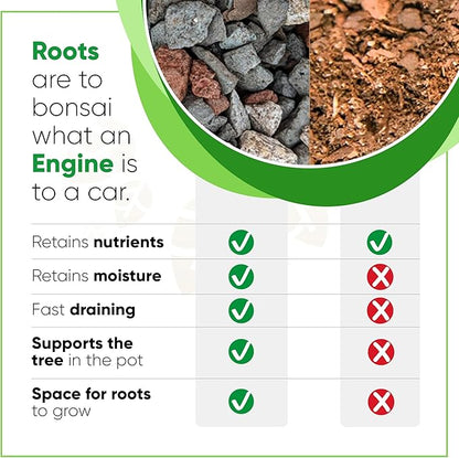 Bonsai Soil Mix by Tinyroots - All Purpose Bonsai Soil Mix Ready to Use Blend, Used for All Varieties of Bonsai Trees, 2.25 Quarts