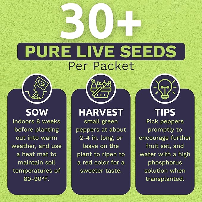 Organic Shishito Pepper Seeds – Two Seed Packets! – Approx 30 Open Pollinated Non-GMO Seeds Per Packet (60 Total) – Sweet Yards Seed Co.