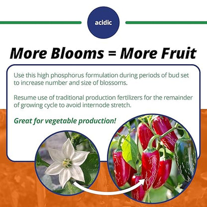 Jack's Classic 10-30-20 Blossom Booster Water-Soluble Fertilizer with Micronutrients for Increasing Color and Quantity of Blooms in Flowering Plants, 1.5lbs, 2 Pack