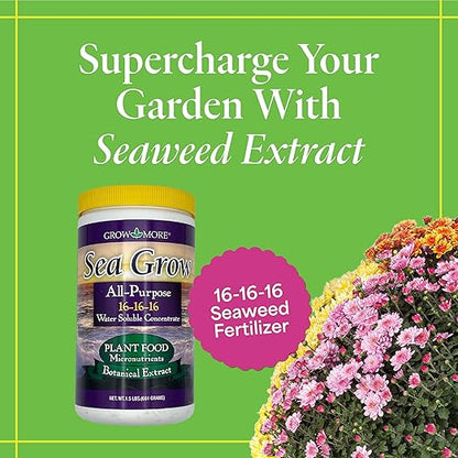 Grow More Sea Grow Kelp Fertilizer - 1.5lbs of 16-16-16 Water-Soluble, All-Purpose Plant Food - Nutrient-Rich, Seaweed Fertilizer - Outdoor & Indoor Plant Food