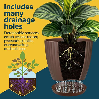 Brown 6-Inch Plant Pots with Drainage & Saucers 12 Pack, Indoor & Outdoor Planters for Houseplants, Herbs, and Flowers, Durable & Weatherproof Material, Stackable, Lightweight, Minimalist Design