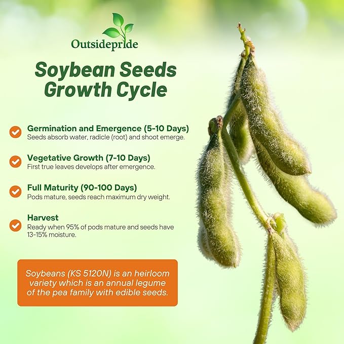 Outsidepride Soybean Seeds - 25 lbs High-Protein & High Yield Heirloom Variety Soy Beans, Ideal for Oil Processing, Forage, Animal Food Plots, & Wildlife Feed for Poultry & Other Farm Animals