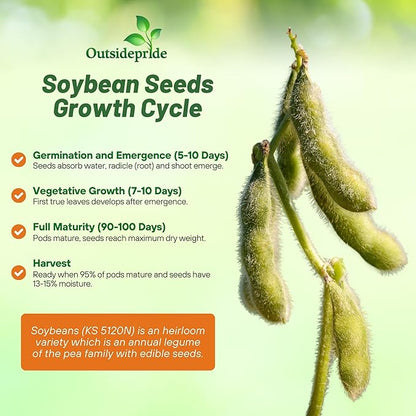 Outsidepride Soybean Seeds - 25 lbs High-Protein & High Yield Heirloom Variety Soy Beans, Ideal for Oil Processing, Forage, Animal Food Plots, & Wildlife Feed for Poultry & Other Farm Animals