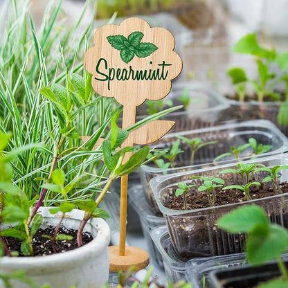 Whaline 60Pcs Flower-Type Bamboo Plant Labels with 1 Marker Pen Eco-Friendly Wooden Plant Sign Tag Wood Garden Marker Decorative Garden Tags for Seed Potted Herbs Flowers Vegetables (5 x 10 Cm)