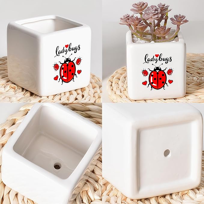 Ladybugs Succulent Planter Flower Plant Pot Small, Gifts for Women Teens Girls Kids, Ladybugs Lovers Themed Stuff Accessories Things Decor Merch, Home Office Table Desk Decoration!