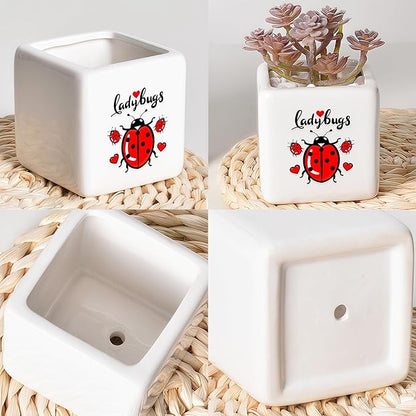 Ladybugs Succulent Planter Flower Plant Pot Small, Gifts for Women Teens Girls Kids, Ladybugs Lovers Themed Stuff Accessories Things Decor Merch, Home Office Table Desk Decoration!
