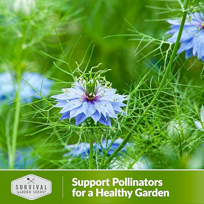 Survival Garden Seeds Black Cumin Seed for Planting - 3 Packets with Instructions to Plant and Grow Beneficial Nigella Sativa Plants in Your Home Vegetable Garden - Non-GMO Heirloom