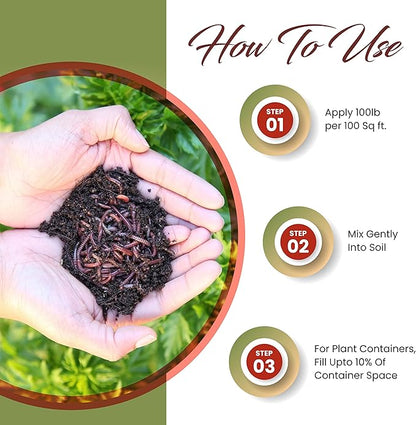 Coco Bliss (10lbs) + Worm Bliss (2 Gallons) - Coco Coir Brick & Organic Worm Castings for Plants - Coco Coir for Plants - Earthworm Castings Worm Fertilizer - Organic Garden Soil & Potting Soil Mix