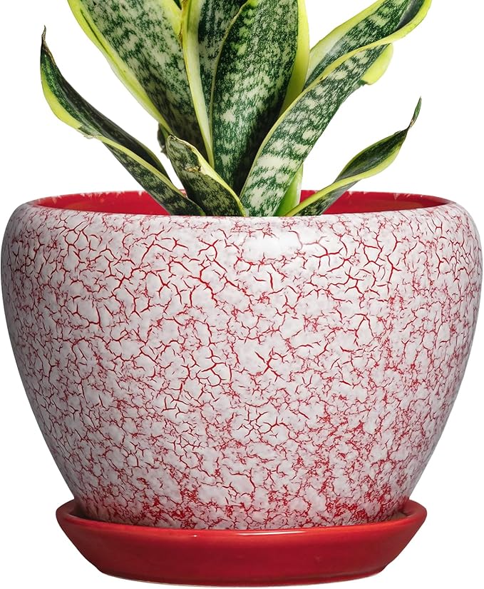 Ceramic Plant Pots - 6 Inch Pots for Plants Indoor Outdoor, Modern Planter with Drainage Hole and Tray, Round Decorative Flower Pot, Home Office Decor, House Warming Gifts, Crackle Red