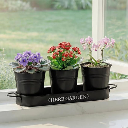 PERFNIQUE Indoor Herb Garden, Herb Planter for Indoor/Outdoor, Farmhouse Plant Pots, Windowsill Herb Garden with Tray(Planter only) Window Pots