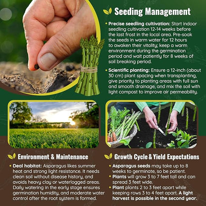 Mary Washington Asparagus Seeds - 900 Seeds, Non-GMO Heirloom Seeds with Planting Instructions for Outdoor Home Gardens