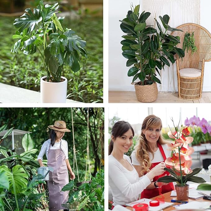 Plant Support Stakes for Climbing Plants, Stackable, Indoor Outdoor Use, Monstera Philodendron Pothos (10inch-10PCS)