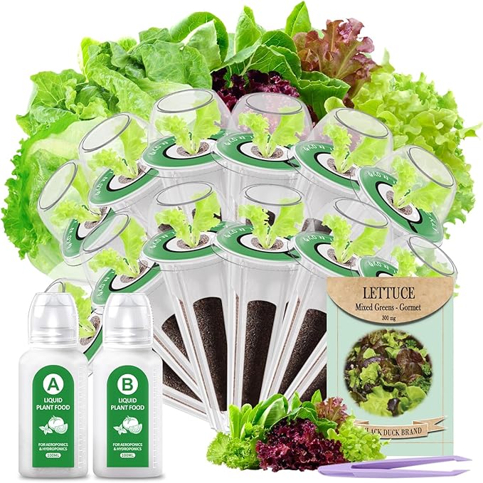 Salad Seed Pods, 12 Pods Grow Anything Kit for All Hydroponics Growing Systems with Nutrient & 300mg Seeds of Buttercrunch, Black Seeded Simpson, Oakleaf, Prizehead, Red Salad Bowl and so on