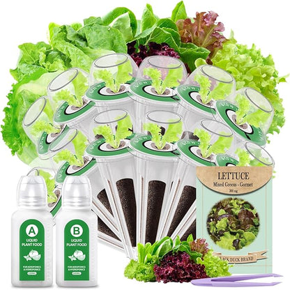 Salad Seed Pods, 12 Pods Grow Anything Kit for All Hydroponics Growing Systems with Nutrient & 300mg Seeds of Buttercrunch, Black Seeded Simpson, Oakleaf, Prizehead, Red Salad Bowl and so on