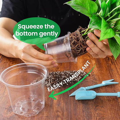36 Packs 7/5/4/3.5 Inch Reinforced Clear Nursery Pots with Drainage Hole, Transparent Variety Pack Plastic Plant Pot Seedling Planter for Vegetable Propagation, Root Cutting, Seed Starting
