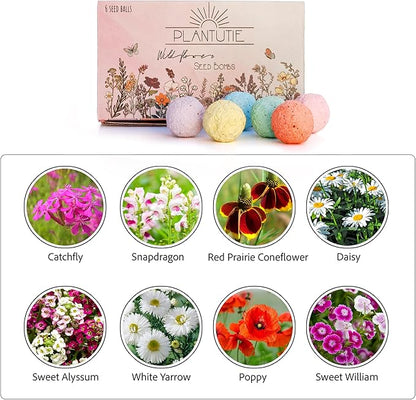 Wildflower Seed Bomb Gift Box – 6 Colorful Hand Rolled Seed Balls for Easy Gardening – Pollinator-Friendly, Made in The USA by Small Business – for Gardeners & Flower Lovers