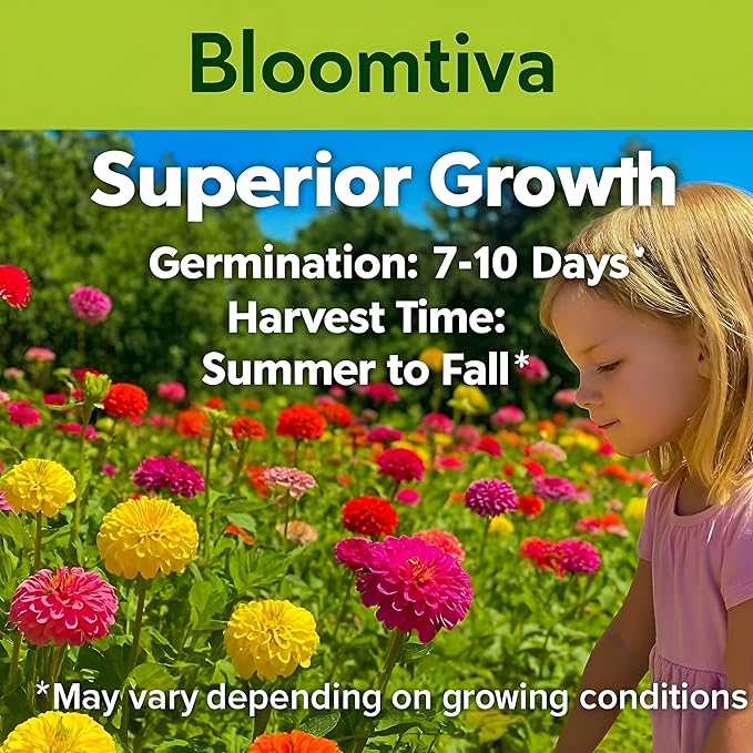Dahlia Zinnia Seeds Bulk – 1100 Heirloom Zinnia Seeds for Planting Outdoors - Mixed Colors & Large Blooms for Gardens - High Germination (Zinnia elegans)