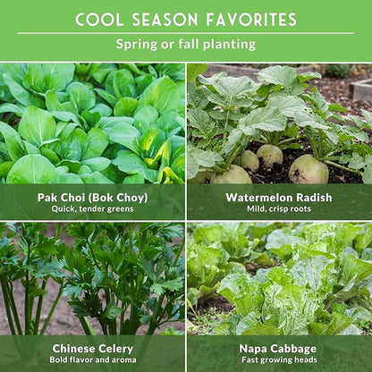 Survival Garden Seeds - Asian Vegetable Collection Seed Vault for Planting - Thai Basil, Napa Cabbage, Canton Pak Choi, Chinese Celery, Green Onions, Watermelon Radish - Non-GMO Heirloom Varieties